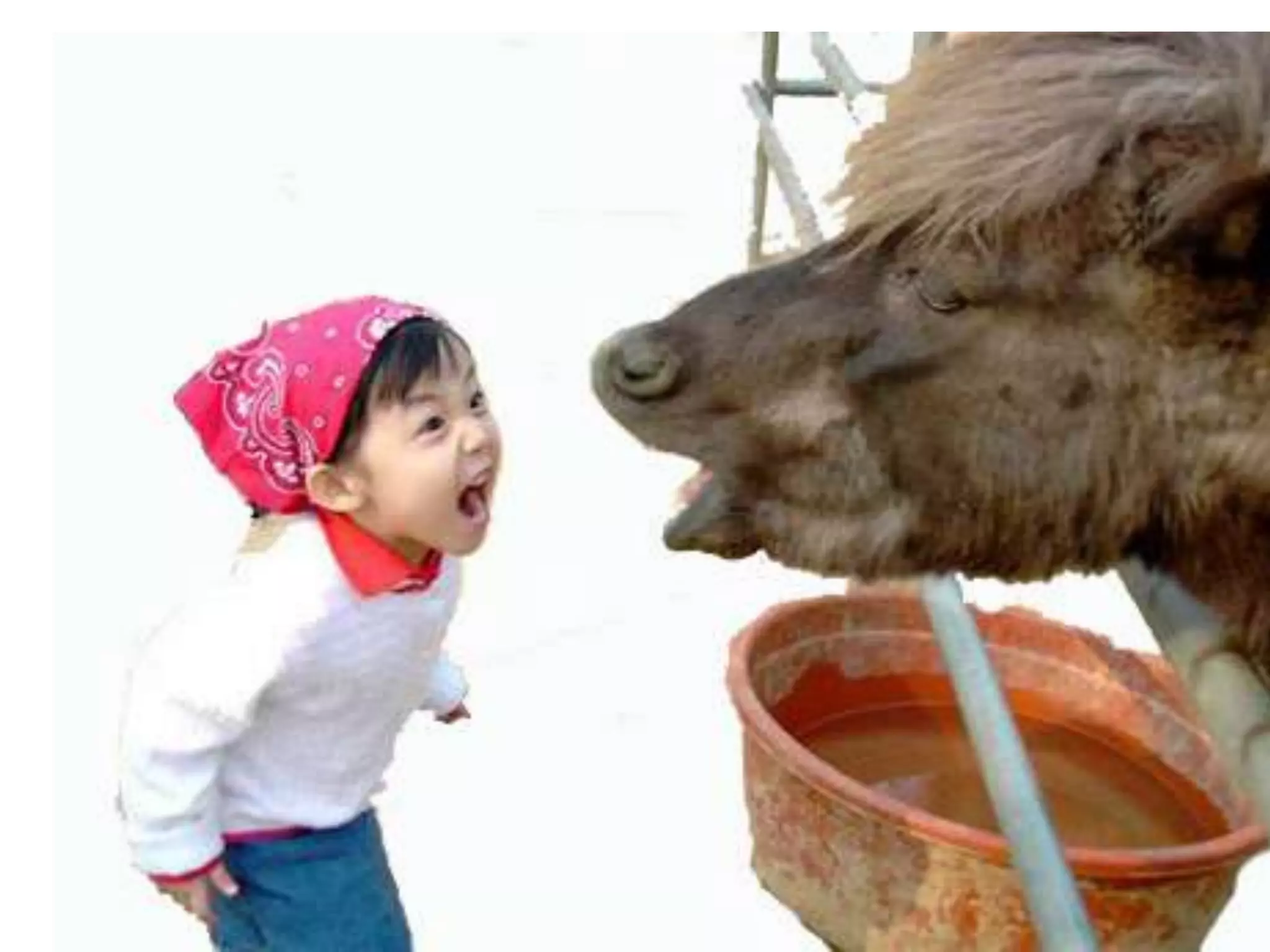 Motivation and Relationship building training