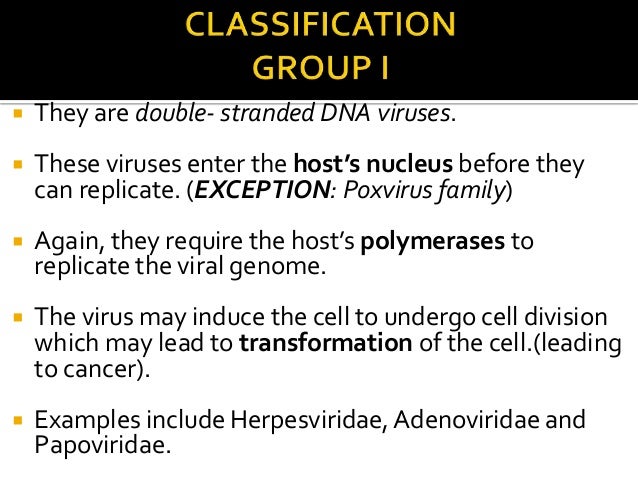 Baltimore Classification Of Viruses Presentation
