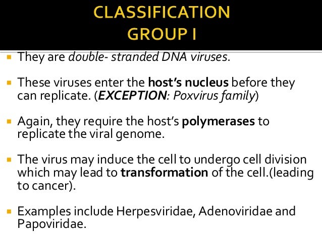 Baltimore Classification Of Viruses Presentation Baltimore Classification Of Viruses Presentation