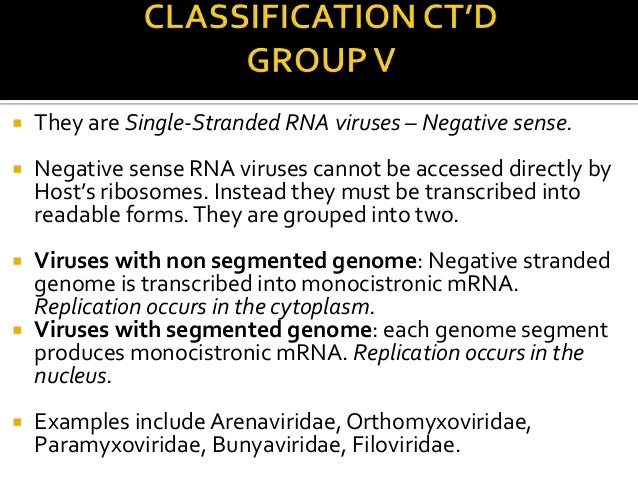 Baltimore Classification Of Viruses Presentation