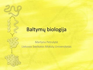Baltymų biologija
Martyna Petrulytė
Lietuvos Sveikatos Mokslų Universitetas
 