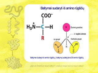 Baltymų biologija nauja