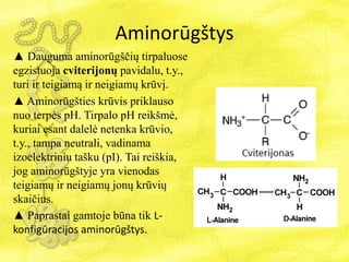 Aminorūgštys
▲ Dauguma aminorūgščių tirpaluose
egzistuoja cviterijonų pavidalu, t.y.,
turi ir teigiamą ir neigiamų krūvį.
▲ Aminorūgšties krūvis priklauso
nuo terpės pH. Tirpalo pH reikšmė,
kuriai esant dalelė netenka krūvio,
t.y., tampa neutrali, vadinama
izoelektriniu tašku (pI). Tai reiškia,
jog aminorūgštyje yra vienodas
teigiamų ir neigiamų jonų krūvių
skaičius.
▲ Paprastai gamtoje būna tik L-
konfigūracijos aminorūgštys.
 
