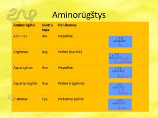 Aminorūgštys
Aminorūgštis Santru
mpa
Poliškumas
Alaninas Ala Nepolinė
Argininas Arg Polinė (bazinė)
Asparaginas Asn Nepolinė
Asparto rūgštis Asp Polinė (rūgštinė)
Cisteinas Cys Nežymiai polinė
 
