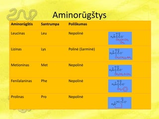Aminorūgštys
Aminorūgštis Santrumpa Poliškumas
Leucinas Leu Nepolinė
Lizinas Lys Polinė (šarminė)
Metioninas Met Nepolinė
Fenilalaninas Phe Nepolinė
Prolinas Pro Nepolinė
 