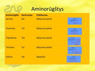 Aminorūgštys
Aminorūgštis Santrumpa Poliškumas
Serinas Ser Nežymiai polinė
Treoninas Thr Nežymiai polinė
Triptofanas Trp Nežymiai polinė
Tirozinas Tyr Nežymiai polinė
Valinas Val Nepolinė
 