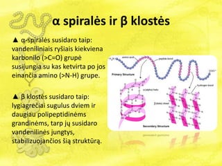 α spiralės ir β klostės
▲ α-spiralės susidaro taip:
vandeniliniais ryšiais kiekviena
karbonilo (>C=O) grupė
susijungia su kas ketvirta po jos
einančia amino (>N-H) grupe.
▲ β klostės susidaro taip:
lygiagrečiai sugulus dviem ir
daugiau polipeptidinėms
grandinėms, tarp jų susidaro
vandenilinės jungtys,
stabilizuojančios šią struktūrą.
 