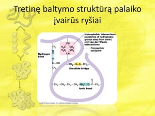 Tretinę baltymo struktūrą palaiko
įvairūs ryšiai
 