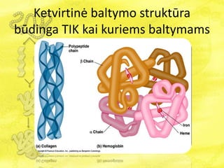 Ketvirtinė baltymo struktūra
būdinga TIK kai kuriems baltymams
 
