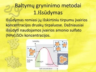 Baltymų gryninimo metodai
1.Išsūdymas
Išsūdymas remiasi jų išskirtiniu tirpumu įvairios
koncentracijos druskų tirpaluose. Dažniausiai
išsūdyti naudojamos įvairios amonio sulfato
(NH4)2SO4 koncentracijos.
 