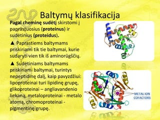Baltymų klasifikacija
Pagal cheminę sudėtį skirstomi į
paprastuosius (proteinus) ir
sudėtinius (proteidus).
▲ Paprastiems baltymams
priskiriami tik tie baltymai, kurie
sudaryti vien tik iš aminorūgščių.
▲ Sudėtiniams baltymams
priskiriami baltymai, turintys
nepeptidinę dalį, kaip pavyzdžiui:
lipoproteinai turi lipidinę grupę,
glikoproteinai – angliavandenio
liekaną, metaloproteinai - metalo
atomą, chromoproteinai -
pigmentinę grupę.
 