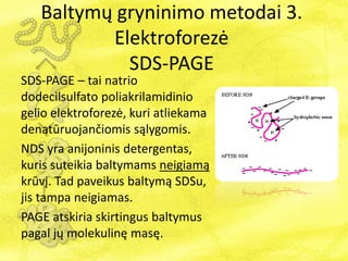 Baltymų gryninimo metodai 3.
Elektroforezė
SDS-PAGE
SDS-PAGE – tai natrio
dodecilsulfato poliakrilamidinio
gelio elektroforezė, kuri atliekama
denatūruojančiomis sąlygomis.
NDS yra anijoninis detergentas,
kuris suteikia baltymams neigiamą
krūvį. Tad paveikus baltymą SDSu,
jis tampa neigiamas.
PAGE atskiria skirtingus baltymus
pagal jų molekulinę masę.
 