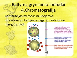Baltymų gryninimo metodai
4.Chromatografija
Gelfiltracijos metodas naudojamas
išfrakcionuoti baltymus pagal jų molekulinę
masę, t.y. dydį.
 
