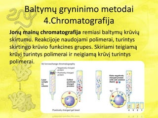Baltymų gryninimo metodai
4.Chromatografija
Jonų mainų chromatografija remiasi baltymų krūvių
skirtumu. Reakcijoje naudojami polimerai, turintys
skirtingo krūvio funkcines grupes. Skiriami teigiamą
krūvį turintys polimerai ir neigiamą krūvį turintys
polimerai.
 