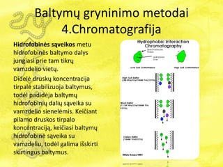 Baltymų gryninimo metodai
4.Chromatografija
Hidrofobinės sąveikos metu
hidrofobinės baltymo dalys
jungiasi prie tam tikrų
vamzdelio vietų.
Didelė druskų koncentracija
tirpale stabilizuoja baltymus,
todėl padidėja baltymų
hidrofobinių dalių sąveika su
vamzdelio sienelėmis. Keičiant
pilamo druskos tirpalo
koncentraciją, keičiasi baltymų
hidrofobinė sąveika su
vamzdeliu, todėl galima išskirti
skirtingus baltymus.
 