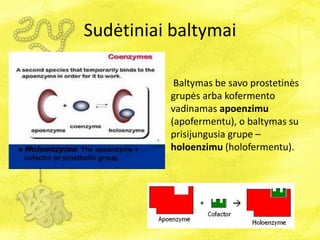 Sudėtiniai baltymai
Baltymas be savo prostetinės
grupės arba kofermento
vadinamas apoenzimu
(apofermentu), o baltymas su
prisijungusia grupe –
holoenzimu (holofermentu).
 