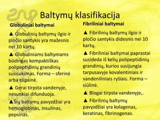Baltymų klasifikacija
Globuliniai baltymai
▲ Globulinių baltymų ilgio ir
pločio santykis yra mažesnis
nei 10 kartų.
▲ Globuliniams baltymams
būdingas kompaktiškas
polipeptidinių grandinių
susisukimas. Forma – sferinė
arba elipsinė.
▲ Gerai tirpsta vandenyje,
nesunkiai difunduoja.
▲Šių baltymų pavyzdžiai yra
hemoglobinas, insulinas,
pepsinas.
Fibriliniai baltymai
▲ Fibrilinių baltymų ilgio ir
pločio santykis didesnis nei 10
kartų.
▲ Fibriliniai baltymai paprastai
susideda iš kelių polipeptidinių
grandinių, kurios susijungia
tarpusavyje kovalentiniais ir
vandeniliniais ryšiais. Forma –
siūlinė.
▲ Blogai tirpsta vandenyje,.
▲ Fibrilinių baltymų
pavyzdžiai yra kolagenas,
keratinas, fibrinogenas.
 