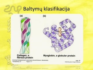 Baltymų klasifikacija
 