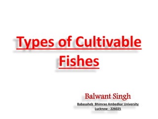 Types of Cultivable
Fishes
Balwant Singh
Babasaheb Bhimrao Ambedkar University
Lucknow - 226025
 