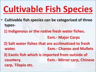 Cultivable Fish Species
• Cultivable fish species can be categorized of three
types-
1) Indigenous or the native fresh water fishes.
Exm.- Major Carps
2) Salt water fishes that are acclimatized to fresh
water. Exm.- Chanos and Mullets
3) Exotic fish which is imported from outside of
countery. Exm.- Mirror carp, Chinese
carp, Tilapia etc.
 