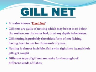 TYPE OF FISHING | PPTX