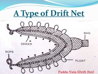 Shore sienes or Rampani net
 Rampani nets are a wall of net divided into three
layers.
 An inner fine-meshed net is sand...
