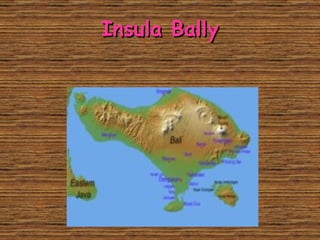 Insula Bally 