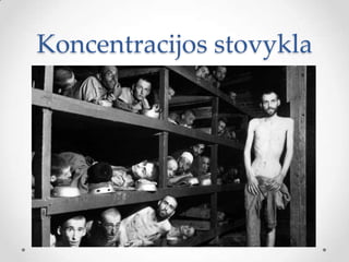 Koncentracijos stovykla
 