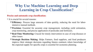 Crop Image Classification using Machine Learning and Deep Learning ...