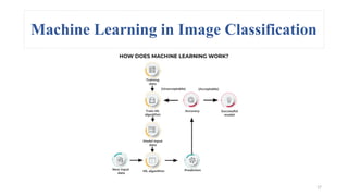 Crop Image Classification using Machine Learning and Deep Learning ...