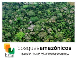 WWW.BOSQUES-AMAZONICOS.COM
 