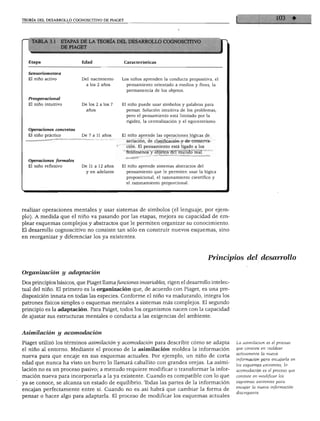 teoría del desarrollo cognoscitivo de piaget
TABLA 3, ETAPAS
Etapa
Sensoriomotora
El niño activo
Preoperacional
El niño intuitivo
Operaciones concretas
El niño práctico
Operaciones formales
El niño reflexivo
3DE LA TEORÍA!
Edad
Del nacimiento
a los 2 años
De los 2 a los 7
años
De 7 a 11 años
De 11 a 12 años
y en adelante
3EL DESARROLLO COGNOSCITIVO ^
Características
Los niños aprenden la conducta propositiva, el
pensamiento orientado a medios y fines, la
permanencia de los objetos.
El niño puede usar símbolos y palabras para
pensar. Solución intuitiva de los problemas,
pero el pensamiento está limitado por la
rigidez, la centralización y el egocentrismo.
El niño aprende las operaciones lógicas de
seriarión de clasificación v de conserva-
ción. El pensamiento está ligado a los
fenómenos y objetos del mundo real.
■'■ -—;
El niño aprende sistemas abstractos del
pensamiento que le permiten usar la lógica
proposicional, el razonamiento científico y
el razonamiento proporcional.
realizar operaciones mentales y usar sistemas de símbolos (el lenguaje, por ejem
plo). A medida que el niño va pasando por las etapas, mejora su capacidad de em
plear esquemas complejos y abstractos que le permiten organizar su conocimiento.
El desarrollo cognoscitivo no consiste tan sólo en construir nuevos esquemas, sino
en reorganizar y diferenciar los ya existentes.
Principios del desarrollo
Organización y adaptación
Dos principios básicos, que Piaget llama fundones invariables, rigen el desarrollo intelec
tual del niño. El primero es la organización que, de acuerdo con Piaget, es una pre
disposición innata en todas las especies. Conforme el niño va madurando, integra los
patrones físicos simples o esquemas mentales a sistemas más complejos. El segundo
principio es la adaptación. Para Paiget, todos los organismos nacen con la capacidad
de ajustar sus estructuras mentales o conducta a las exigencias del ambiente.
Asimilación y acomodación
Piaget utilizó los términos asimiladón y acomodación para describir cómo se adapta
el niño al entorno. Mediante el proceso de la asimilación moldea la información
nueva para que encaje en sus esquemas actuales. Por ejemplo, un niño de corta
edad que nunca ha visto un burro lo llamará caballito con grandes orejas. La asimi
lación no es un proceso pasivo; a menudo requiere modificar o transformar la infor
mación nueva para incorporarla a la ya existente. Cuando es compatible con lo que
ya se conoce, se alcanza un estado de equilibrio. Todas las partes de la información
encajan perfectamente entre sí. Cuando no es así habrá que cambiar la forma de
pensar o hacer algo para adaptarla. El proceso de modificar los esquemas actuales
La asimilación es el proceso
que consiste en moldear
activamente la nueva
información para encajarla en
los esquemas e?ástentes; la
acomodación es el proceso que
consiste en modificar los
esquemas existentes para
encajar la nueva información
discrepante.
 