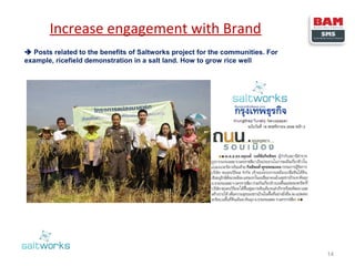 Increase engagement with Brand
 Posts related to the benefits of Saltworks project for the communities. For
example, ricefield demonstration in a salt land. How to grow rice well

14

 