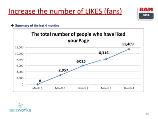 Increase the number of LIKES (fans)
 Summary of the last 4 months

18

 