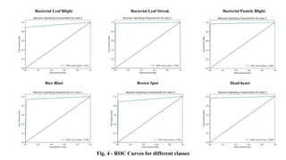 Bacterial Leaf Blight Bacterial Leaf Streak Bacterial Panicle Blight
Rice Blast Brown Spot Dead heart
Fig. 4 - ROC Curves for different classes
 