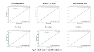 Bacterial Leaf Blight Bacterial Leaf Streak Bacterial Panicle Blight
Rice Blast Brown Spot Dead heart
Fig. 4 - ROC Curves for different classes
 