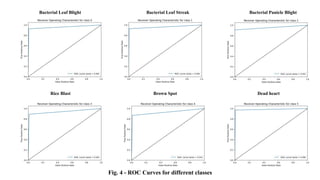 Bacterial Leaf Blight Bacterial Leaf Streak Bacterial Panicle Blight
Rice Blast Brown Spot Dead heart
Fig. 4 - ROC Curves for different classes
 