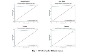 Downy Mildew Rice Hispa
Normal Tungro
Fig. 4 - ROC Curves for different classes
 