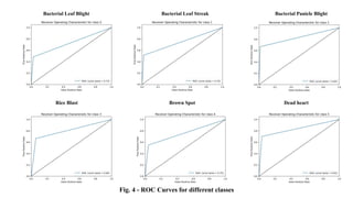 Bacterial Leaf Blight Bacterial Leaf Streak Bacterial Panicle Blight
Rice Blast Brown Spot Dead heart
Fig. 4 - ROC Curves for different classes
 