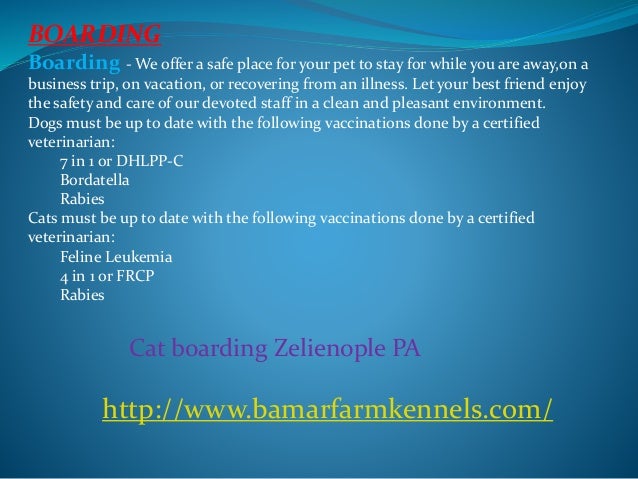 Dog Boarding Zelienople Pa Dog Boarding Zelienople Pa