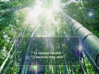 “Tu tiempo vendrá.”
“¡Crecerás muy alto!”

 