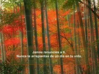 Jamás renuncies a ti.
Nunca te arrepientas de un día en tu vida.

 