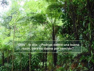 “Dios”, le dije: ¿Podrías darme una buena
razón, para no darme por vencido?

 