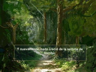 Y nuevamente, nada creció de la semilla de
bambú.

 