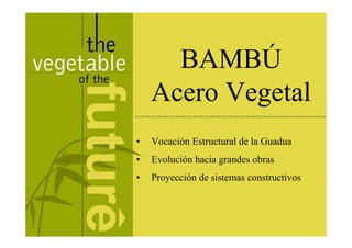 BAMBÚ
    Acero Vegetal
•   Vocación Estructural de la Guadua
•   Evolución hacia grandes obras
•   Proyección de sistemas constructivos
 