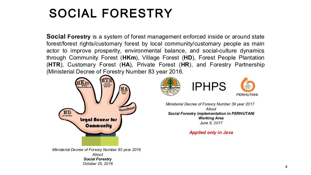 Social forestry in 4 years