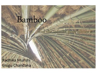 Bamboo
and the infinite possibilities it
offers..
Radhika Munshi
Erugu Chandana
 