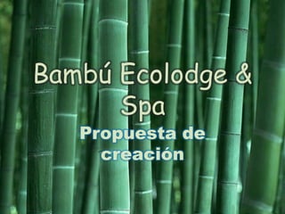 Bambú Ecolodge & Spa Propuesta de creación 