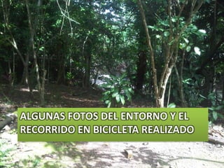 Algunas fotos del entorno y el recorrido en bicicleta realizado