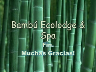 Bambú Ecolodge & SpaFin.Muchas Gracias!